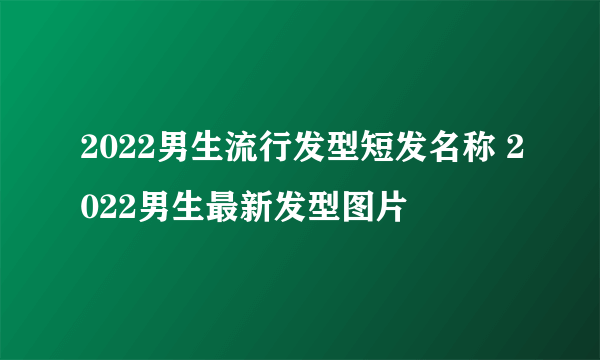 2022男生流行发型短发名称 2022男生最新发型图片