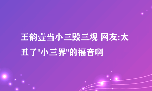 王韵壹当小三毁三观 网友:太丑了