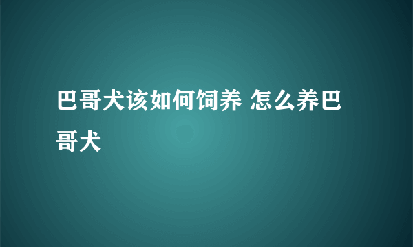 巴哥犬该如何饲养 怎么养巴哥犬