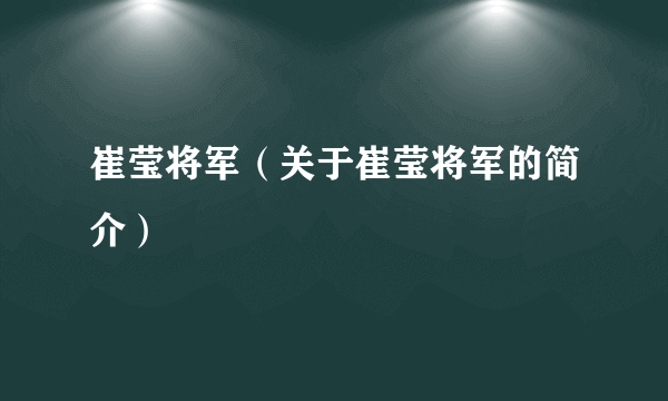 崔莹将军（关于崔莹将军的简介）