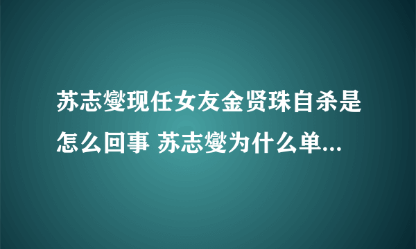 苏志燮现任女友金贤珠自杀是怎么回事 苏志燮为什么单身多年_飞外网