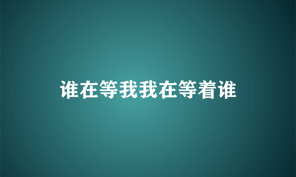 谁在等我我在等着谁