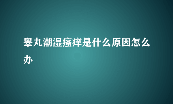 睾丸潮湿瘙痒是什么原因怎么办