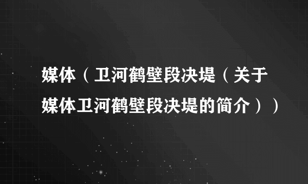 媒体（卫河鹤壁段决堤（关于媒体卫河鹤壁段决堤的简介））