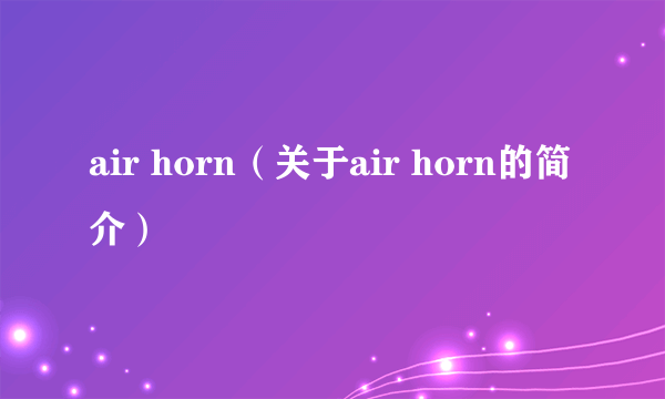 air horn（关于air horn的简介）