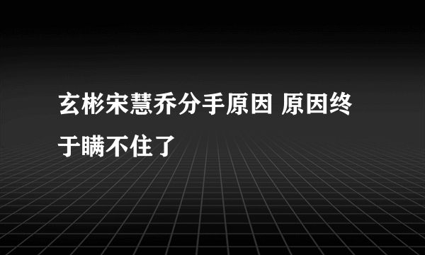 玄彬宋慧乔分手原因 原因终于瞒不住了