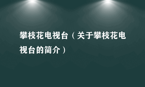 攀枝花电视台（关于攀枝花电视台的简介）