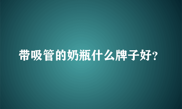 带吸管的奶瓶什么牌子好？