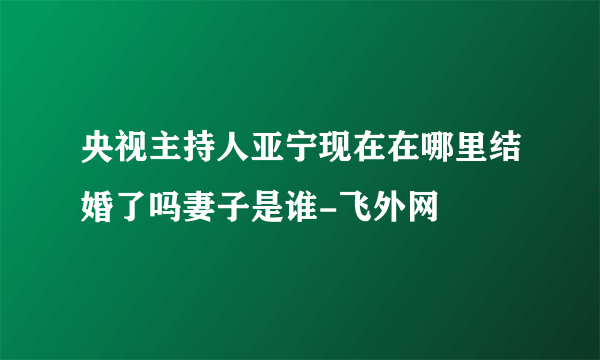 央视主持人亚宁现在在哪里结婚了吗妻子是谁-飞外网