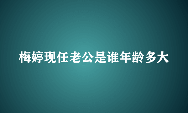 梅婷现任老公是谁年龄多大