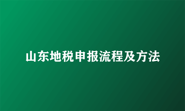 山东地税申报流程及方法