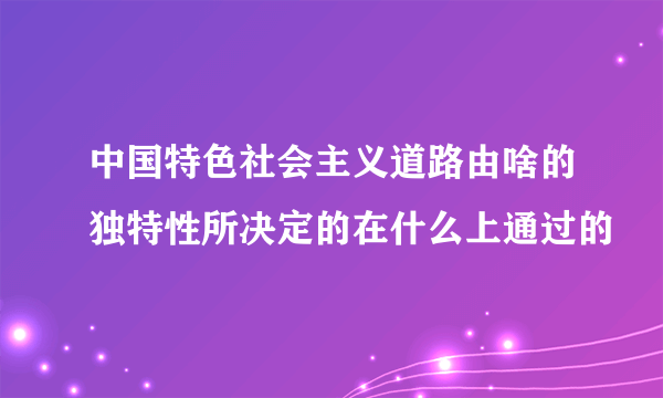 中国特色社会主义道路由啥的独特性所决定的在什么上通过的