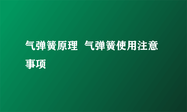 气弹簧原理  气弹簧使用注意事项