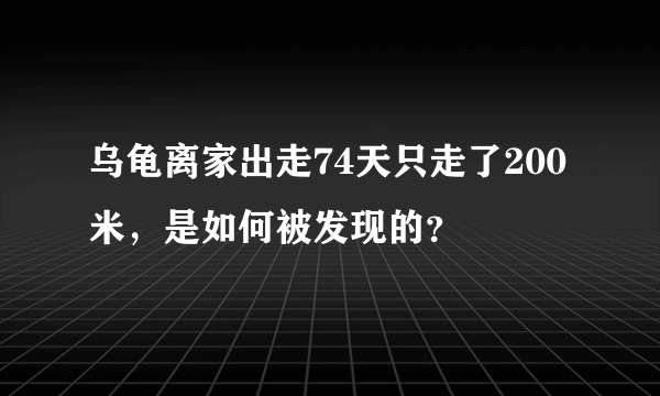 乌龟离家出走74天只走了200米，是如何被发现的？