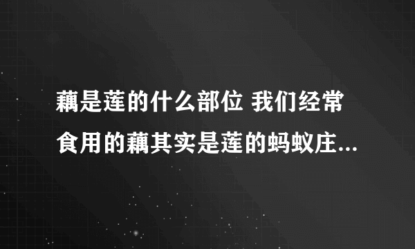 藕是莲的什么部位 我们经常食用的藕其实是莲的蚂蚁庄园7.16