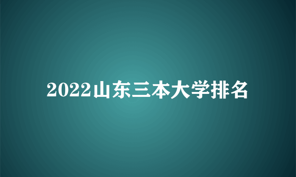 2022山东三本大学排名