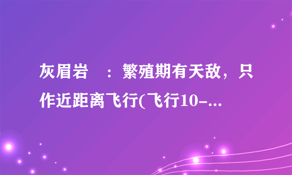 灰眉岩鹀：繁殖期有天敌，只作近距离飞行(飞行10-20米)