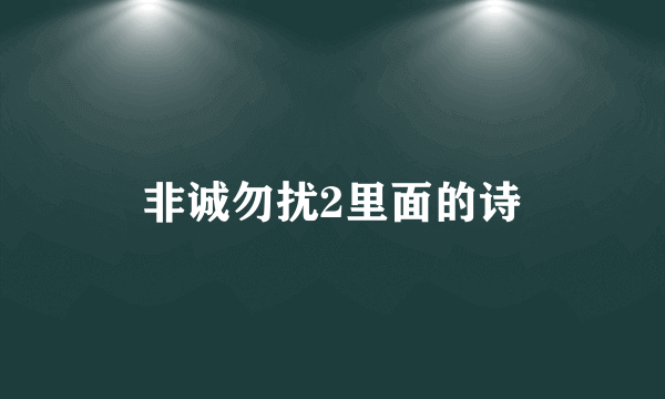 非诚勿扰2里面的诗