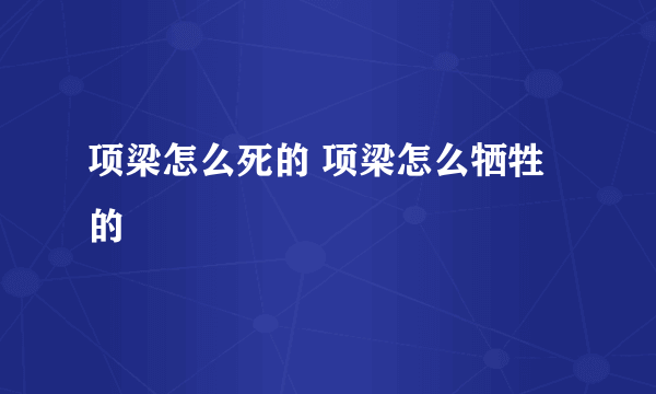 项梁怎么死的 项梁怎么牺牲的