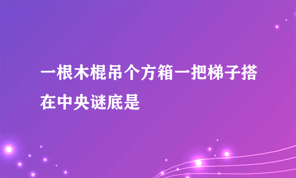 一根木棍吊个方箱一把梯子搭在中央谜底是