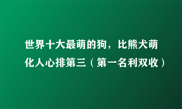 世界十大最萌的狗，比熊犬萌化人心排第三（第一名利双收）