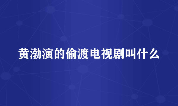 黄渤演的偷渡电视剧叫什么