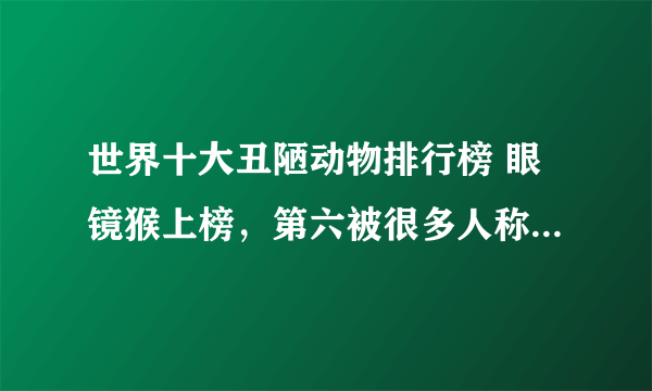 世界十大丑陋动物排行榜 眼镜猴上榜，第六被很多人称为“怪物”