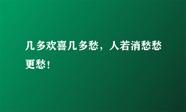 几多欢喜几多愁，人若消愁愁更愁！