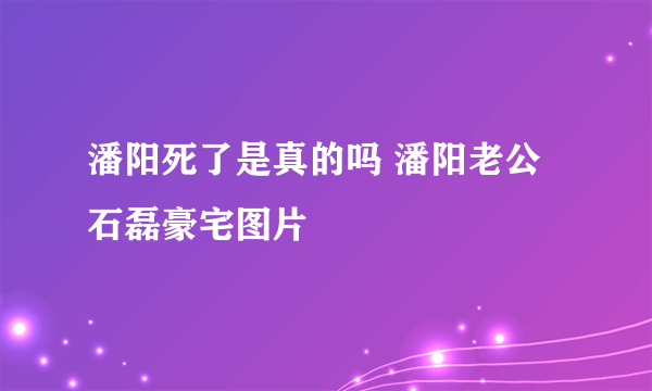 潘阳死了是真的吗 潘阳老公石磊豪宅图片