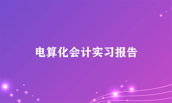 电算化会计实习报告