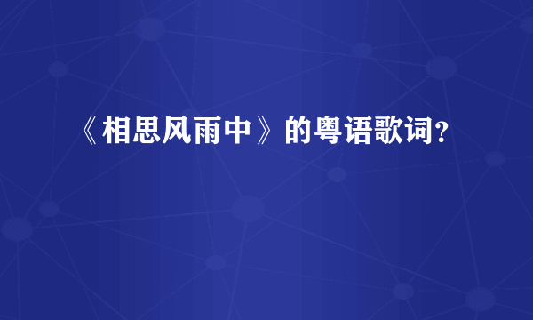 《相思风雨中》的粤语歌词？