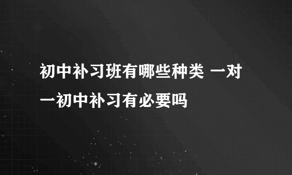 初中补习班有哪些种类 一对一初中补习有必要吗