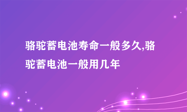 骆驼蓄电池寿命一般多久,骆驼蓄电池一般用几年