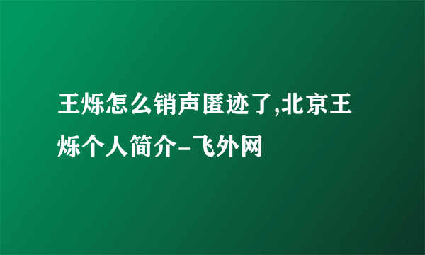 王烁怎么销声匿迹了,北京王烁个人简介-飞外网