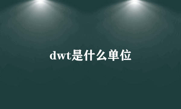 dwt是什么单位