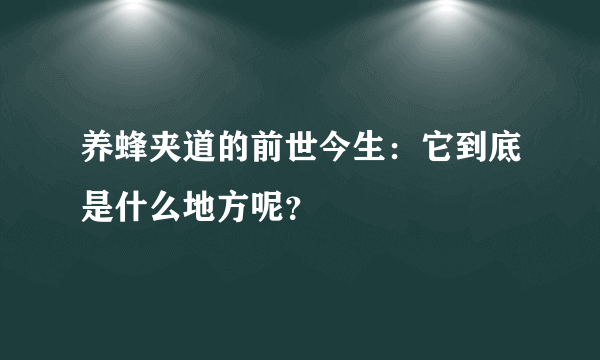 养蜂夹道的前世今生：它到底是什么地方呢？