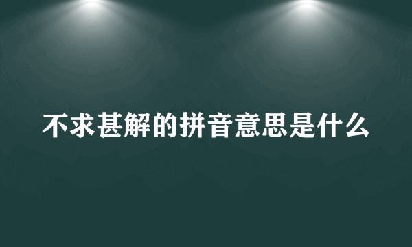 不求甚解的拼音意思是什么