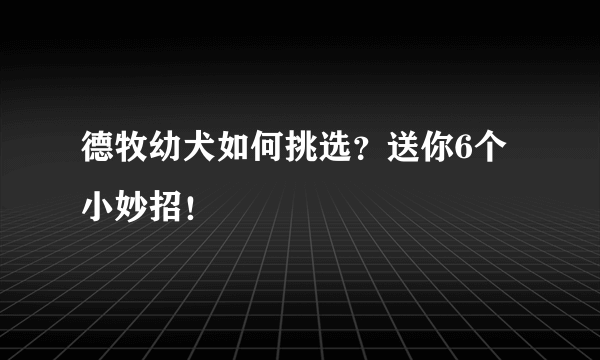 德牧幼犬如何挑选？送你6个小妙招！