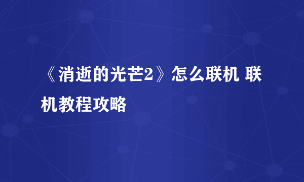 《消逝的光芒2》怎么联机 联机教程攻略