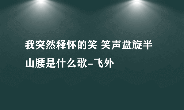 我突然释怀的笑 笑声盘旋半山腰是什么歌-飞外