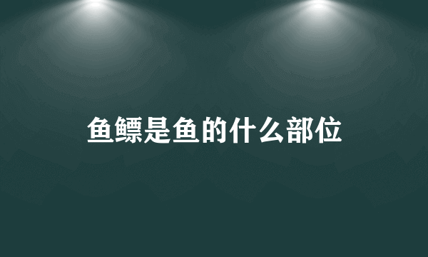 鱼鳔是鱼的什么部位