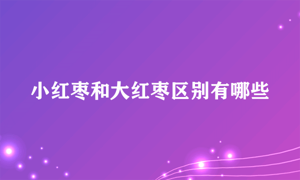 小红枣和大红枣区别有哪些