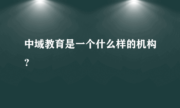 中域教育是一个什么样的机构？