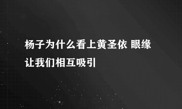 杨子为什么看上黄圣依 眼缘让我们相互吸引