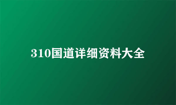 310国道详细资料大全