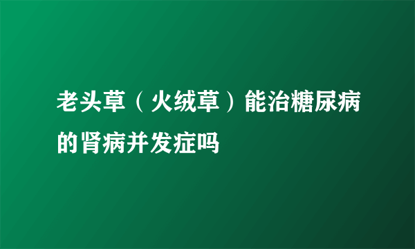 老头草（火绒草）能治糖尿病的肾病并发症吗