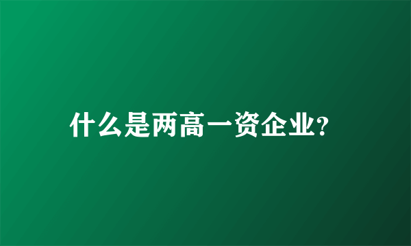 什么是两高一资企业？