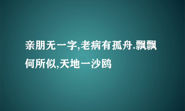 亲朋无一字,老病有孤舟.飘飘何所似,天地一沙鸥