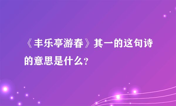 《丰乐亭游春》其一的这句诗的意思是什么？