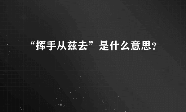 “挥手从兹去”是什么意思？